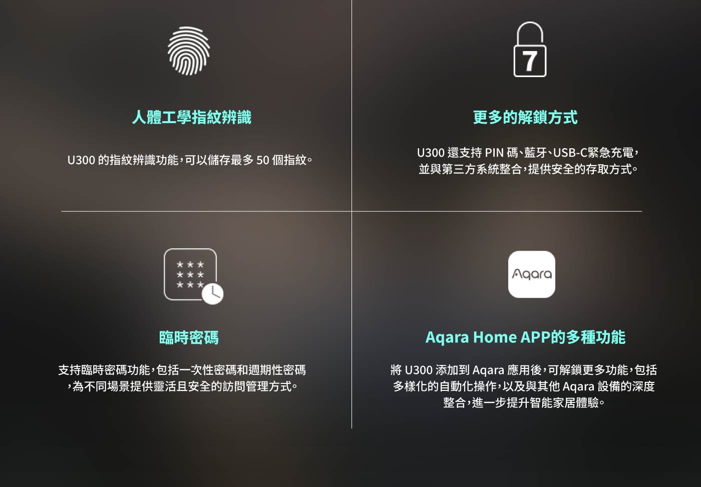 Aqara U300-2