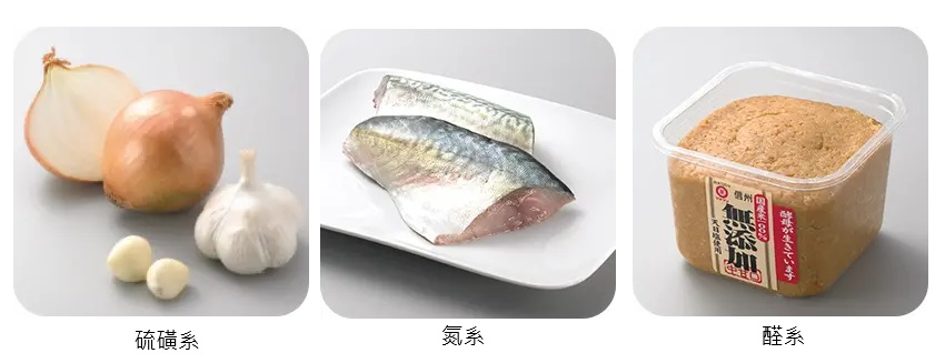 三重抗菌除臭濾網示意