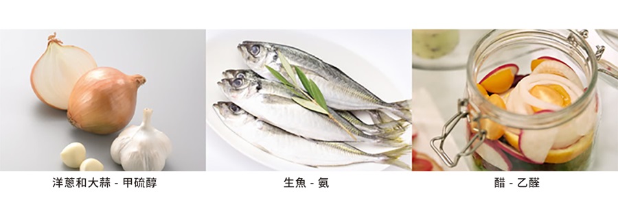 LED 照明燈