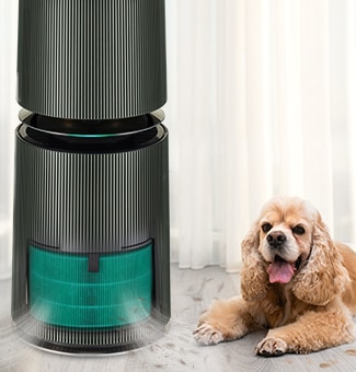 告別寵物毛髮與異味的乾淨空氣