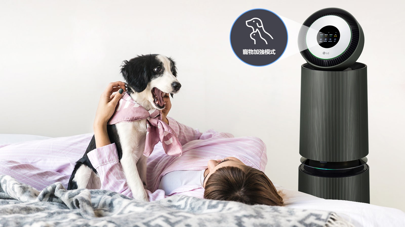寵物空氣關懷