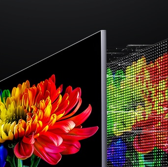 LG 為什麼選擇 Micro RGB evo