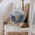 文青藍白地圖 MOVA Globe
