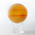 土星 MOVA Globe