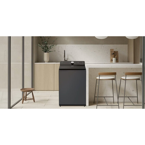 LG 16公斤直立式洗衣機 EZ 系列｜夜墨灰｜AI DD™ 蒸氣直驅變頻 (WT-TD16HG)