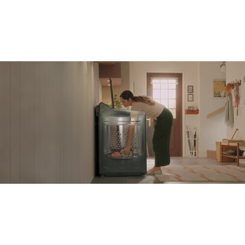 LG 16公斤直立式洗衣機 EZ 系列｜夜墨灰｜AI DD™ 蒸氣直驅變頻 (WT-TD16HG)