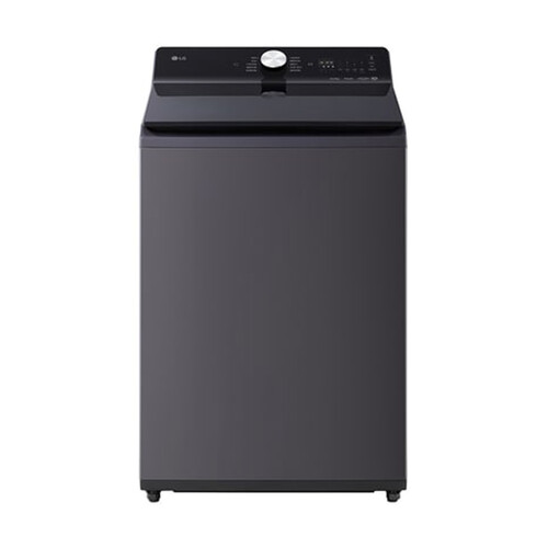 LG 20公斤直立式洗衣機 EZ 系列｜夜墨灰｜AI DD™ 蒸氣直驅變頻 (WT-TD20HG)