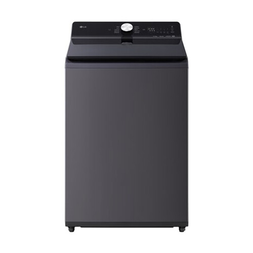 LG 16公斤直立式洗衣機 EZ 系列｜夜墨灰｜AI DD™ 蒸氣直驅變頻 (WT-TD16HG)